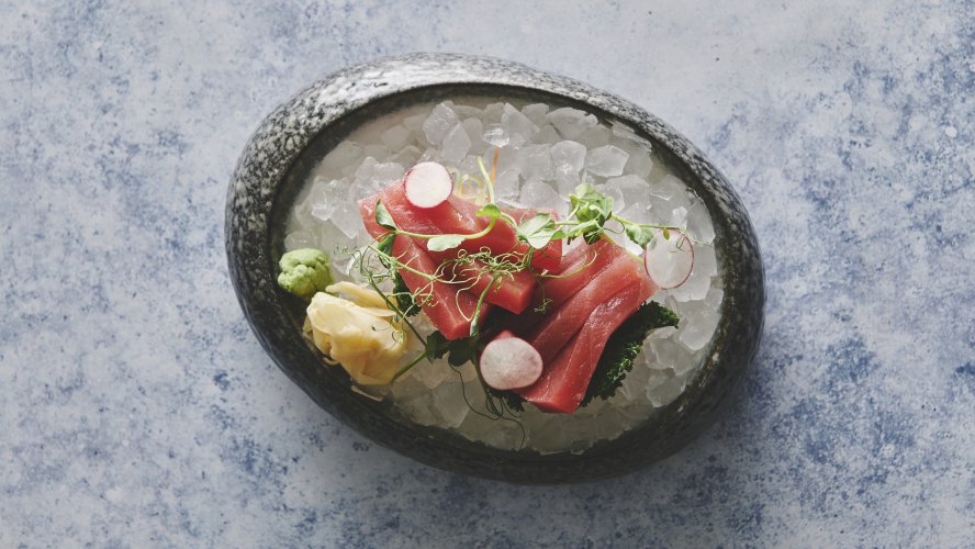 16 sashimi tun